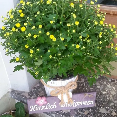 Gaestehaus Im Tal 18 3*