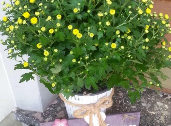 Gaestehaus Im Tal 18 3*